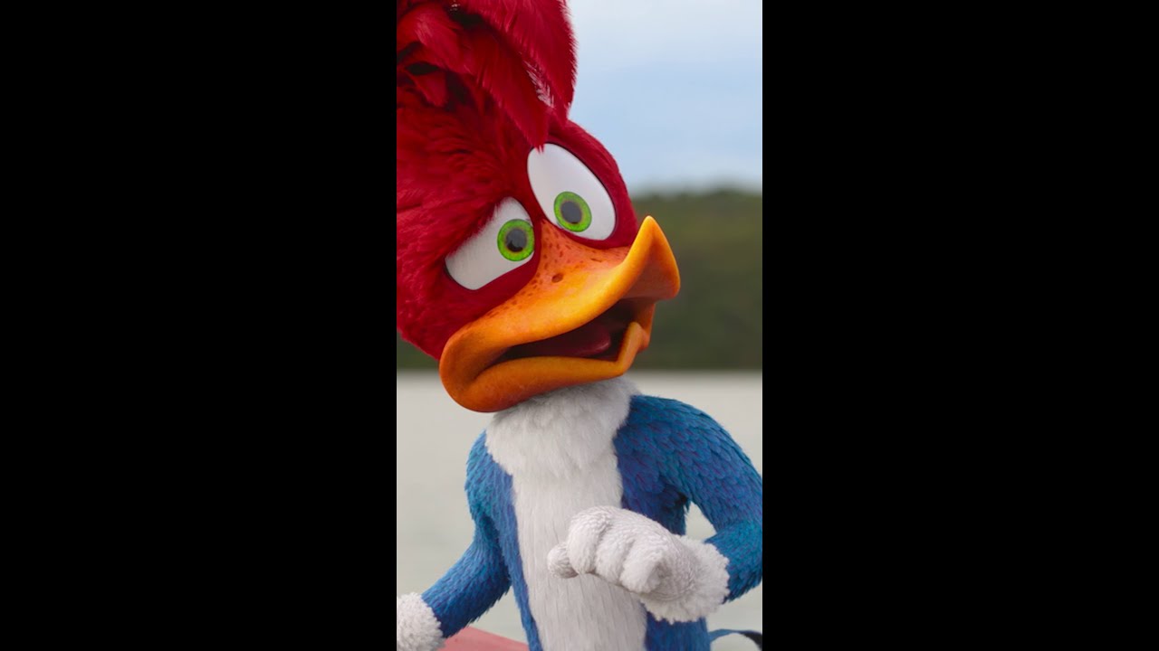 Woody Woodpecker geht ins Camp Vorschaubild des Trailers