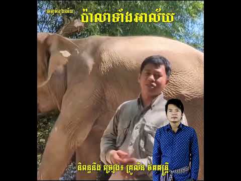 ដំរី Lucky ចេញចំរៀងហើយ កំសត់ណាស់ កូនអើយប៉ាលាកូនហើយ លាទាំងស្រណោះអាល័យ បទៈ ប៉ាលាទាំងអាល័យ