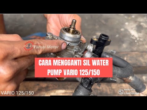 Cara mengganti sil water pump vario 125/150