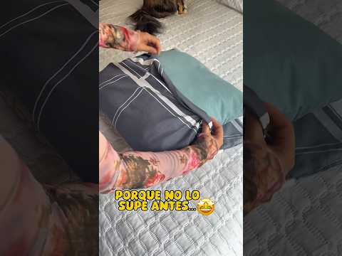 Como poner una funda de almohada grande en una almohada pequeña 😮 #almohadas #organizacion #cama