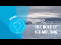 Ice Caps and Sea Level Effects