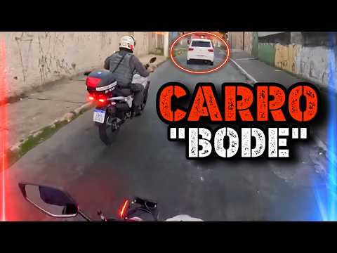 LADRÕES TENTARAM ESCAPAR DA POLÍCIA E TERMINARAM NO HOSPITAL (EP.339)