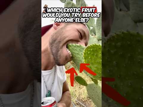 Out of These Rare Fruits, Which One Would You Bite Into First? 🥭