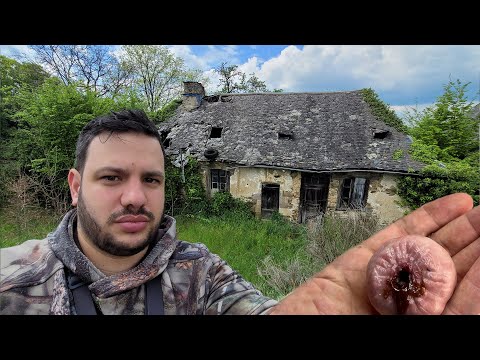 J'AI FILMÉ DES CHOSES ATROCES dans cette maison... ( à vomir 🤮 )
