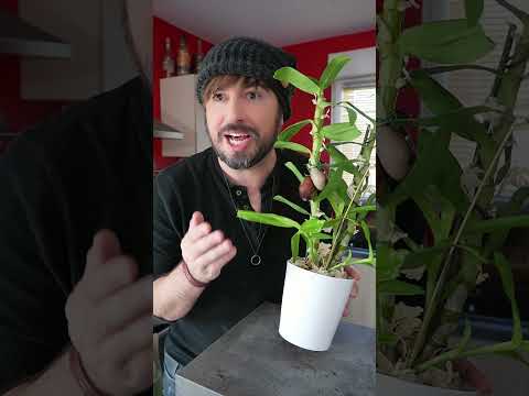 Mais d'où viens le manque de courage chez les garçons ?!