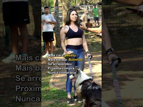 Top 5 compras com dona de Border Collie