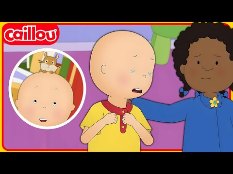 Adiós Gerald | Las Nuevas Aventuras de Caillou | Temporada 4: Episodio 1