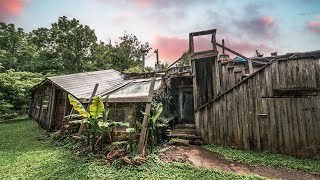 Off-Grid Underground ABANDONED House with a JUNGLE ROOM | Indoor Pool, Koi Pond & More