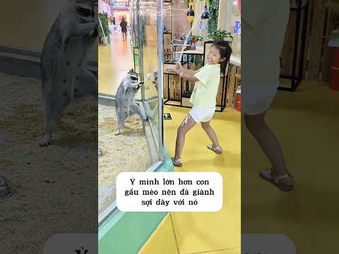 Cô Bé Xấu tính Ăn Hiếp Con Gấu Mèo Nhỏ