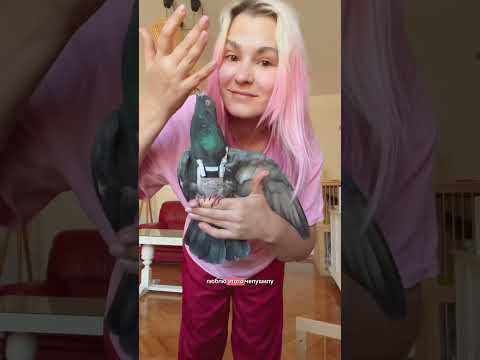 Тяжелые дни чееек ✌🏻
