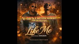 Astro T Mr TheyKnow feat Kingsox - LIKE ME video lyrics 