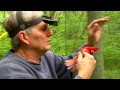 Conservation Connect: North American Migratory Birds