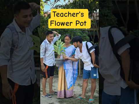Their Stupidity Broke The Teacher’s Flower Pot  | School Comedy Shorts