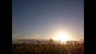 Frühling - Sommer 2014 im Düsseldorfer Süden