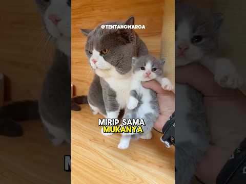 Takdir berkata lain 😪