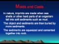 Fossils and Their Geological Significance