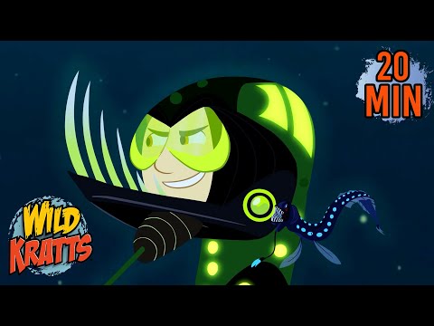 Fascinating Fish | Animals for Kids | Wild Kratts