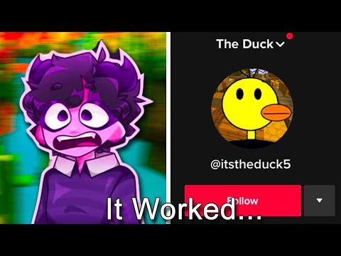 I Went Undercover As A Pngtuber (IT WORKED)...