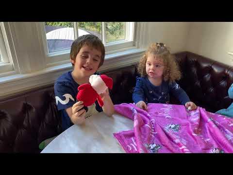 Mr. Poo Poo Head! Unboxing x 2! | Perez Hilton And Family
