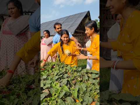 অন্যের ক্ষেত থেকে পটল তুলে ফেসে গেলাম 🥲  #viralvideos #akhiroy #trendingshorts