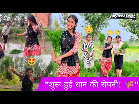 🤩धान की रोपाई शुरू! 🌾 गांव की मेहनत भरी ज़िंदगी | Gaon Ki Kheti Vlog 2025"#viral#vlog#vidyavlog