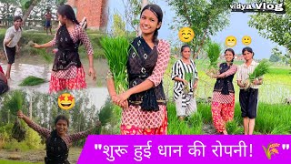 🤩धान की रोपाई शुरू! 🌾 गांव की मेहनत भरी ज़िंदगी | Gaon Ki Kheti Vlog 2025"#viral#vlog#vidyavlog