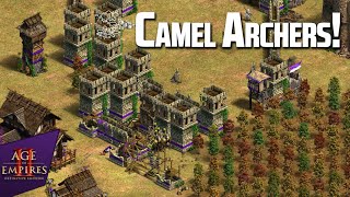 Rage Forest | Berbers Castle Push with pond!