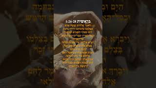 Lectura en hebreo bíblico | Génesis 1:26-28