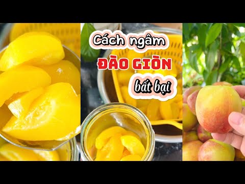 Cách ngâm đào giòn không bị lên men làm trà đào cam sả