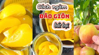 Cách ngâm đào giòn không bị lên men làm trà đào cam sả