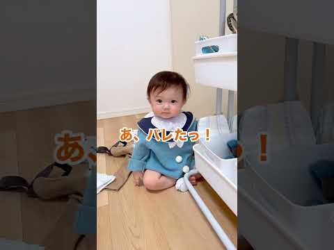 いたずらはバレてからが勝負！ #10ヶ月