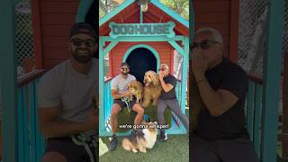 Brodie meets the Dog Whisperer! #dogtrainer #dogdad #goldendoodle