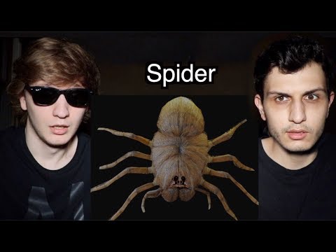 We Bought a PET SPIDER Off the Dark Web!