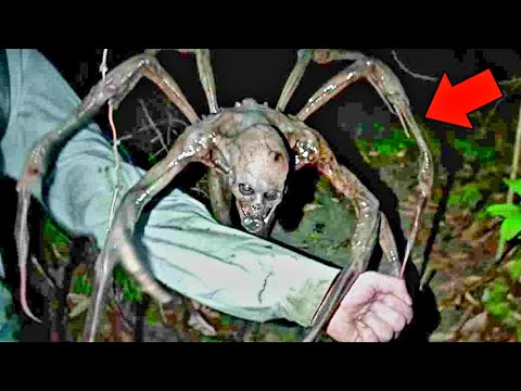 4 Videos De Terror Reales que NO te Dejaran DORMIR 2025 (VOl. 9) 😨