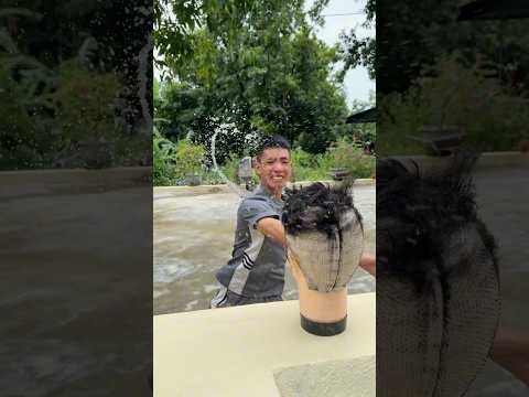 Chú Hưng Rất Là Yêu Thương Mọi Người Luôn #dinhtrung #funny #haihuoc