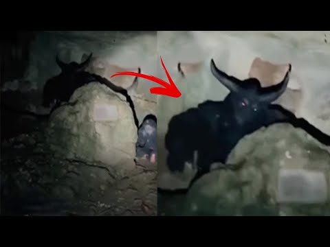 VIDEOS OF PURE SCARY THAT NOBODY CAN WATCH THEM