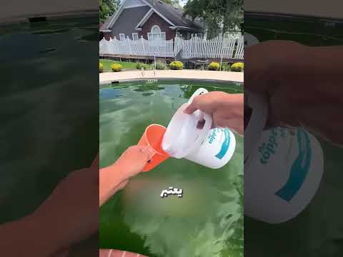 معلومات سرية مينفعش تعرفها عن حمام السباحة