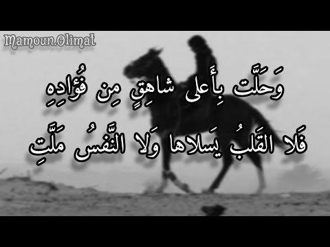 قصيدة خليلي هذا ربع عزة | كُثيّر عزّة | مأمون عليمات