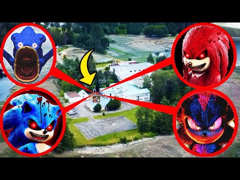 MON DRONE A FILMÉ SONIC, KNUCKLES, SEA EATER,SHIN SONIC DANS LA VRAIE VIE !!!