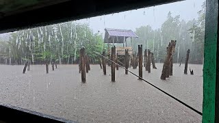 Fishing camp hujan deras di spot gubuk tua terbengkalai yang menjadi sarang ikan baramundi