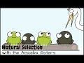 Antibiotics and Bacterial Resistance