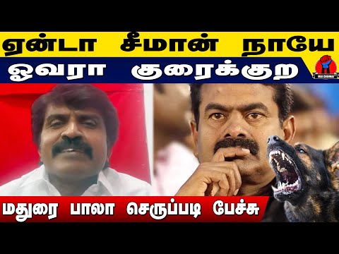 ஏன்டா சீமான் நாயே ஓவரா குரைக்குற | Madurai Bala Latest Speech on Seeman