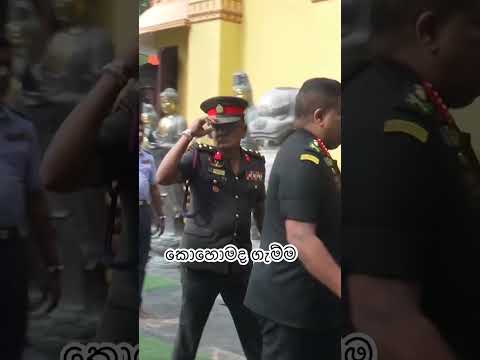 කොහොමද ගැම්ම