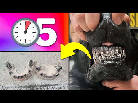 25 Cosas que NO Sabías en 5 minutos!! ⏰😲 [225]