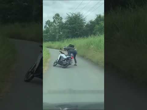 VIRAL! Harimau muncul pengendara hampir terjatuh๐จโ๏ธ #viral #trending #tiger #harimau #shortviral