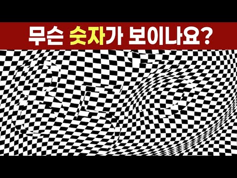 이 숫자가 보인다면 특별한 눈을 가졌습니다