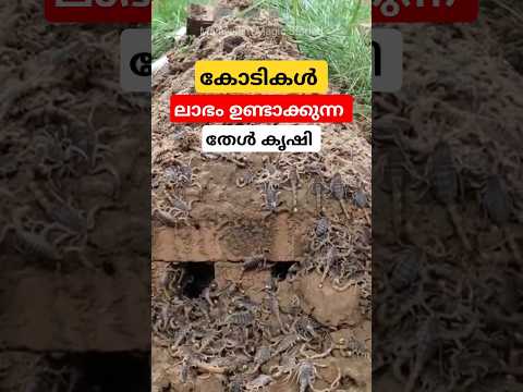 കോടികൾ ലാഭം ഉണ്ടാക്കുന്ന തേൾ കൃഷി #scorpion #cultivation #facts #malayalam