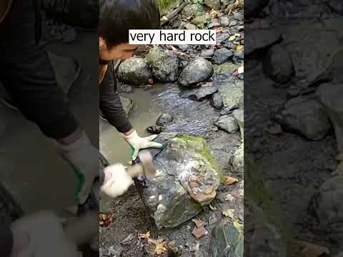 Open the rock with a hammer #fossils  #rock  #mining  #shorts