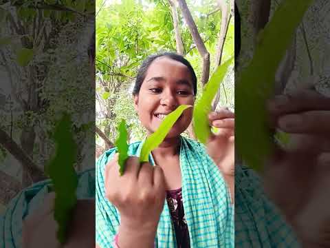 Yellow and Pink Lollipop Flavor Test by technical fuchkul