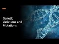 Exploring Genetic Variation Through Mutation